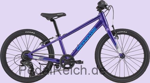 Cannondale Quick 20  technische daten 